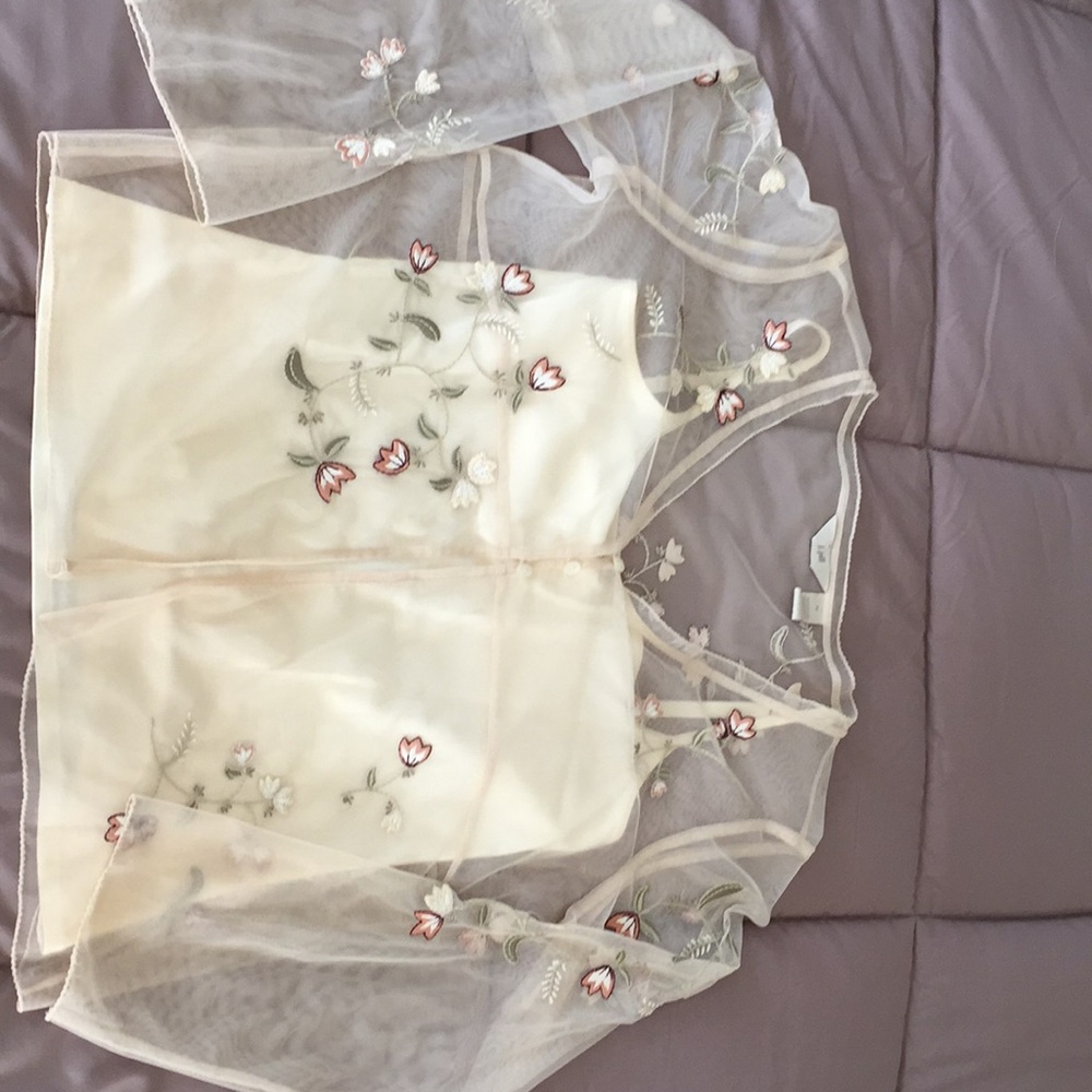 Camesole with sheer overlay blouse